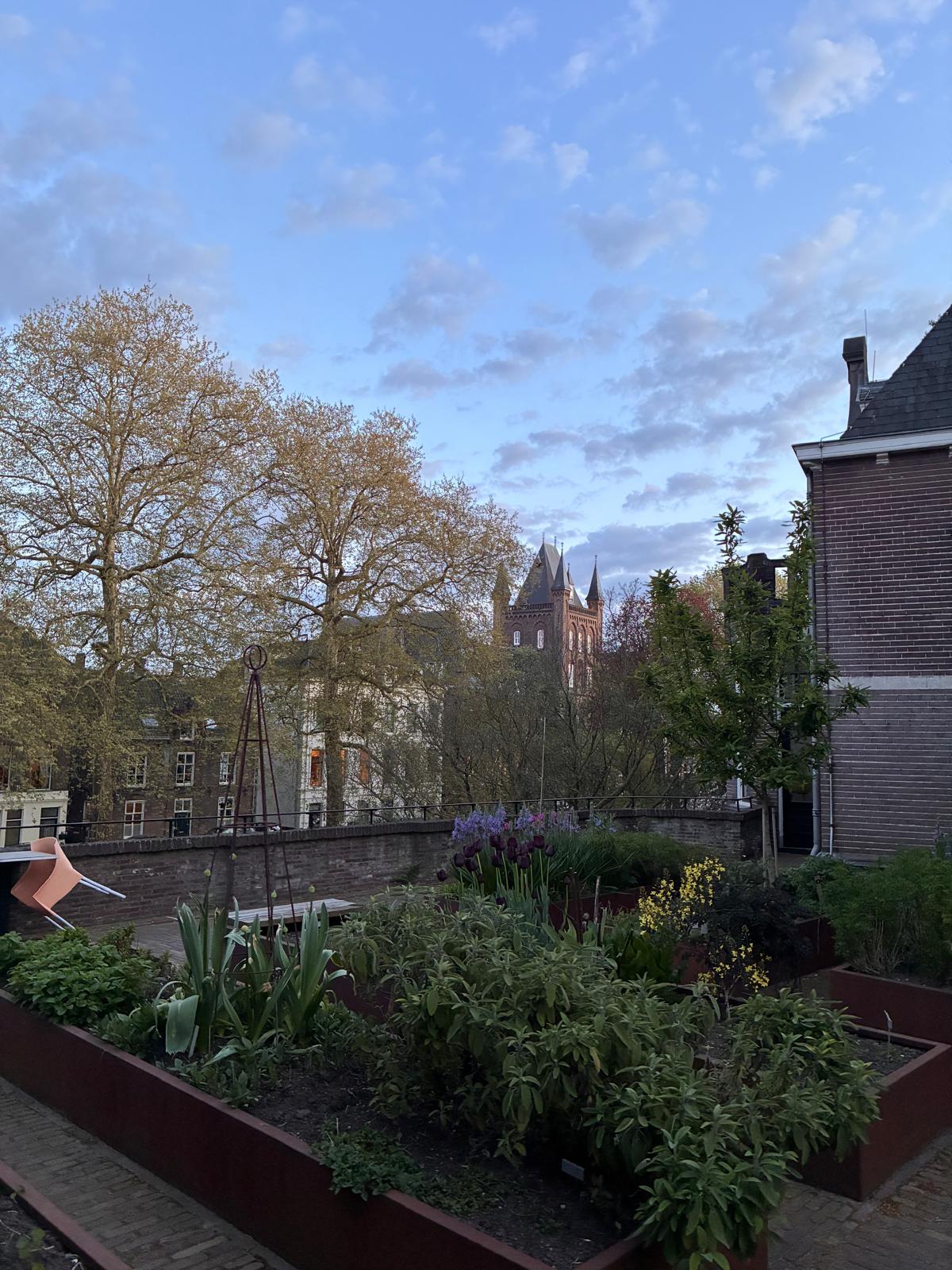View of the historic Sonnenborgh tower in Utrecht at dusk, seen over a lush herb and tulip garden with bare spring trees and a soft pink sky
