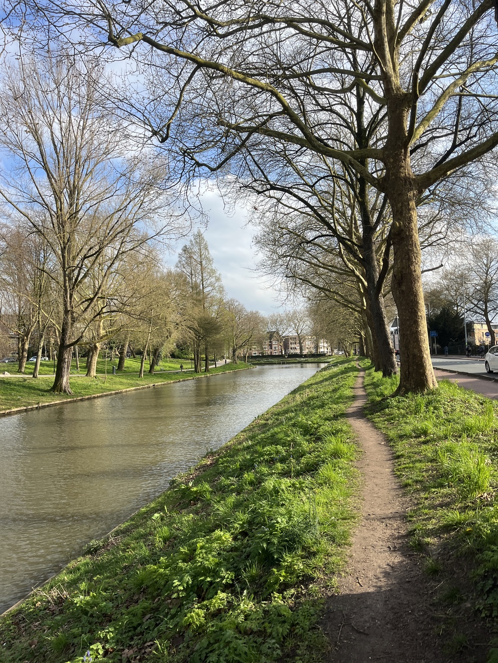 Peaceful canal-side path in Utrecht with tall trees lining the water on a sunny spring day